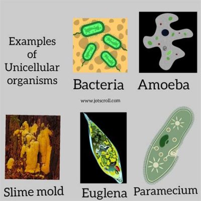  マラリア原虫、このミステリアスな単細胞生物は一体何をしているの！？